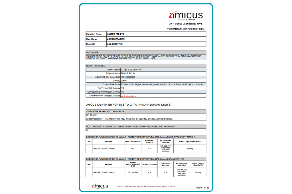 AML Report